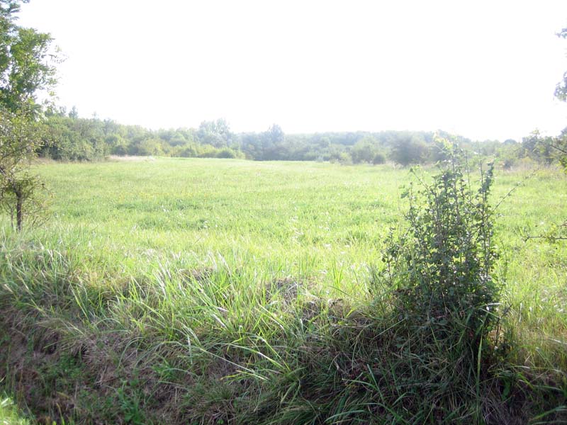 Erschliessung Thermalbad Rilchingen Wasserversorgung und Abwasserentsorgung - Baugebiet
